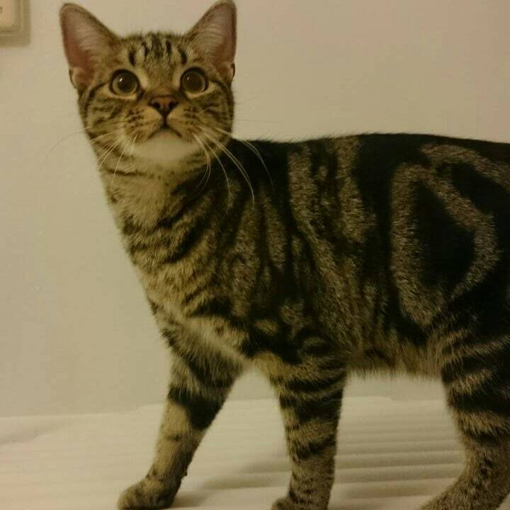 02674295 72e1 47d6 b520 f1c549ae350b