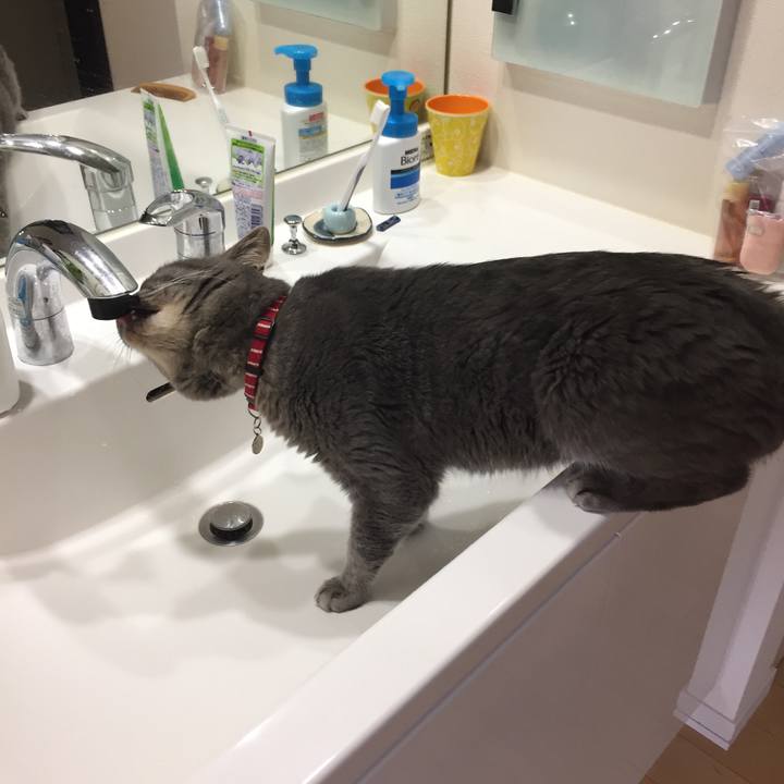 02674fa1 c258 4b77 82ed 768dfc36f2d6