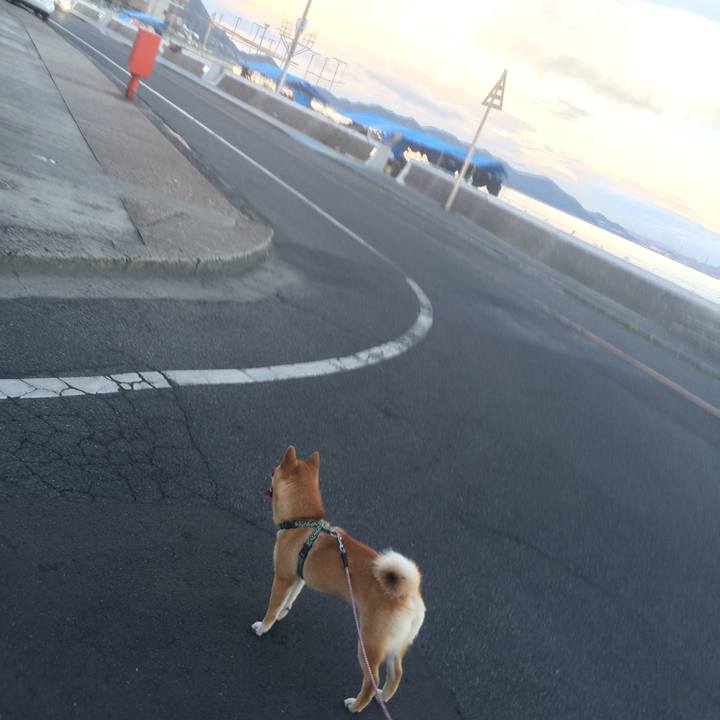 02675369 4919 406a 8655 009fb9c704c8