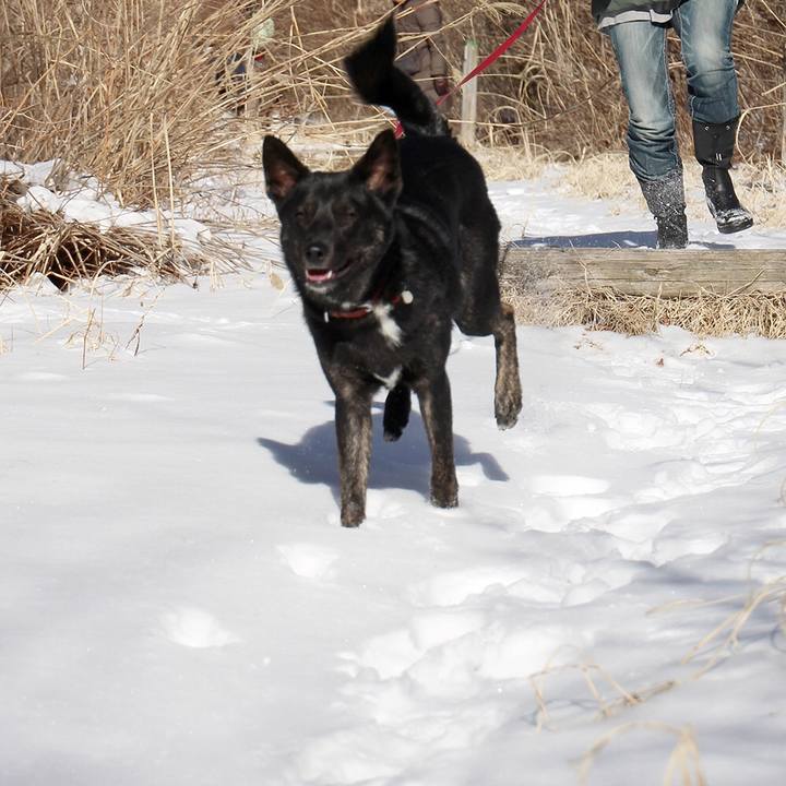 0267bae4 46ee 49ea a37e 2de92e98a1d1