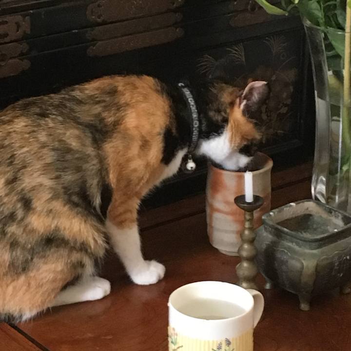 0267efb9 6a46 40c4 941b 16357278742e