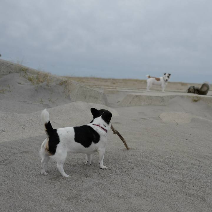 026840d0 91d3 4df9 b07e 679b66c09ca9