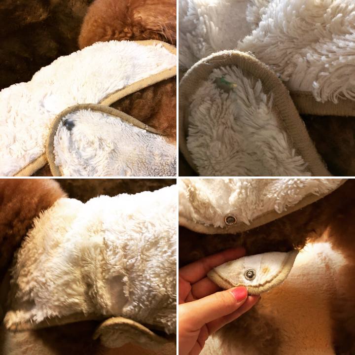 0268e77e f45c 4485 b4ec 0e5f3b6b06c1