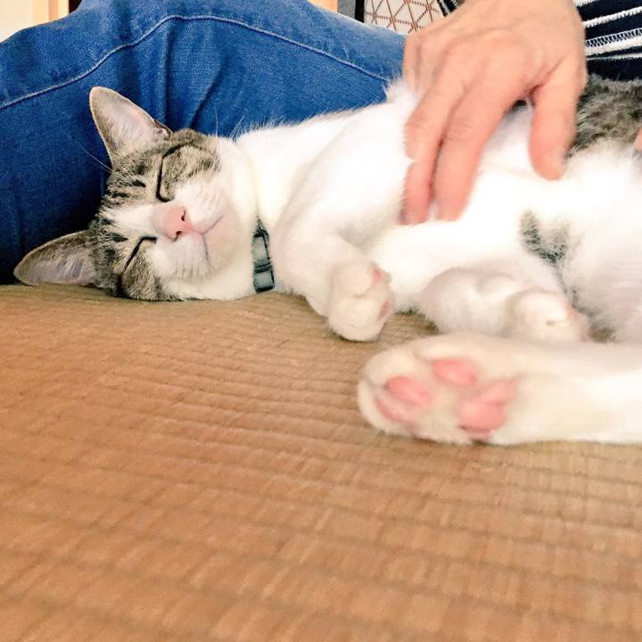 0269777e 2849 4198 80a9 f82a5dbe59f7