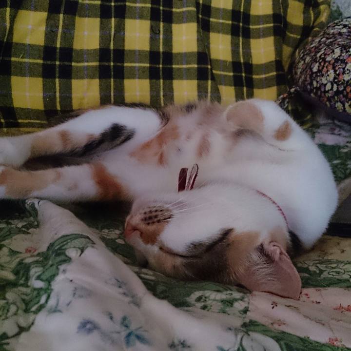 026a5e5b 307a 44a4 ab65 baebaaa6c617