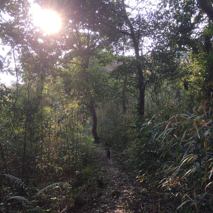 026aaae8 49c1 42c1 980f 9776fb9f46b3