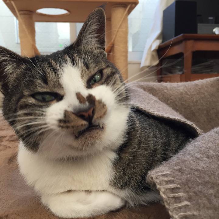 026af9f1 a7fb 4162 8fd9 c6c198d456c1