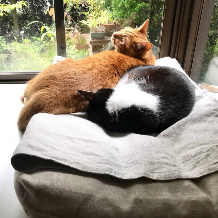 026b37bd ba82 4c74 b088 ae8d36ca8962