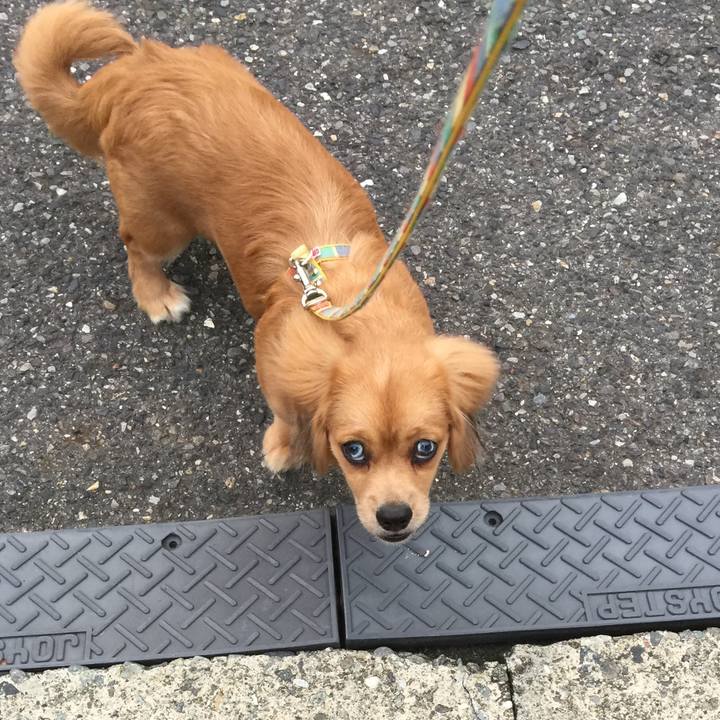 026be749 9f62 4b66 8bd8 c566bd9b0599