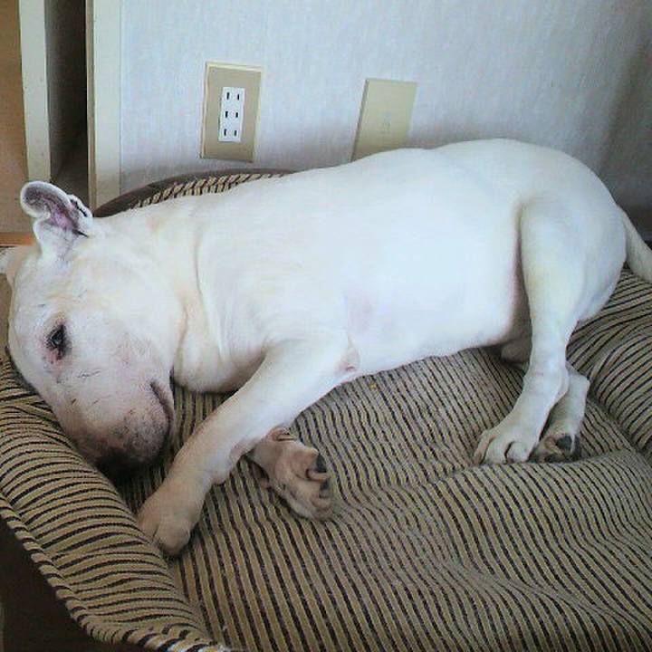 026dabf5 f35c 4849 a3d4 5b6d62ced884