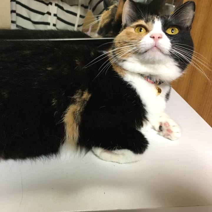 026e23fd a0ac 46ff 8835 c07a6f6a51b7