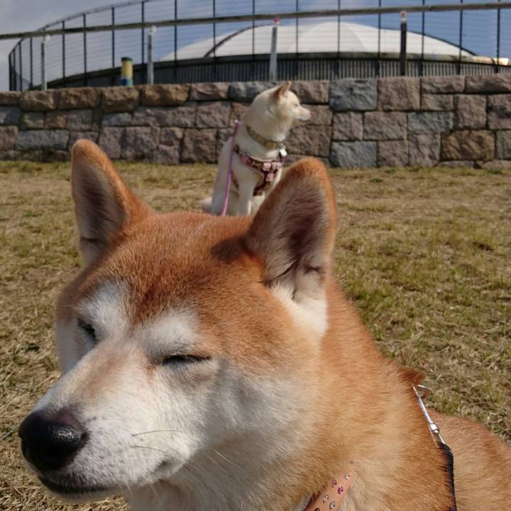 026e77c4 1f7f 4a34 94c7 a40eb9e694b6