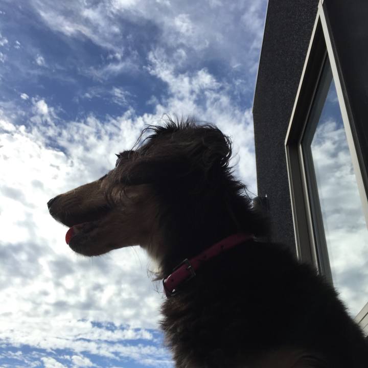 026e7e2b 06ee 4024 b54f e9a850596632