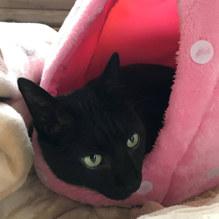 027041b1 a653 4d27 baa9 9ee229706202