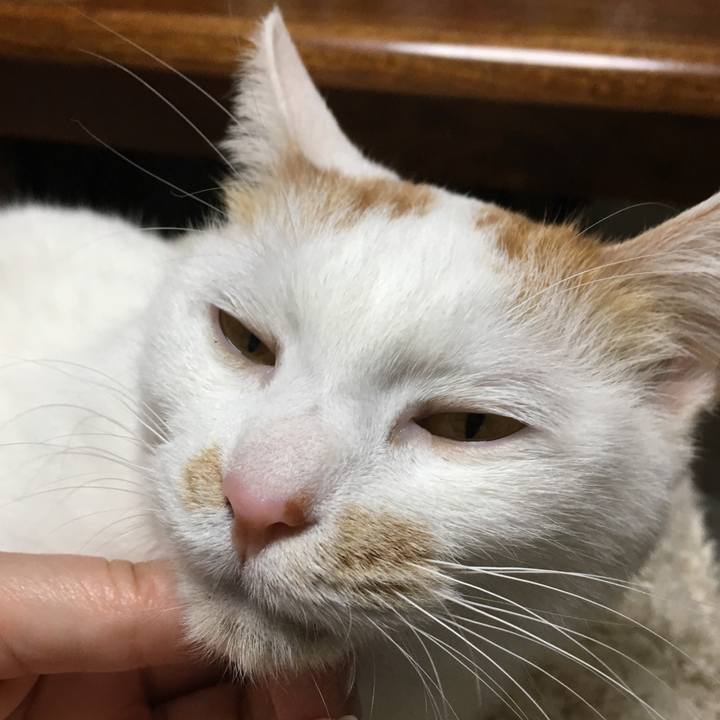 0270f9a5 f628 4ce9 b2a7 8e7eccc65263