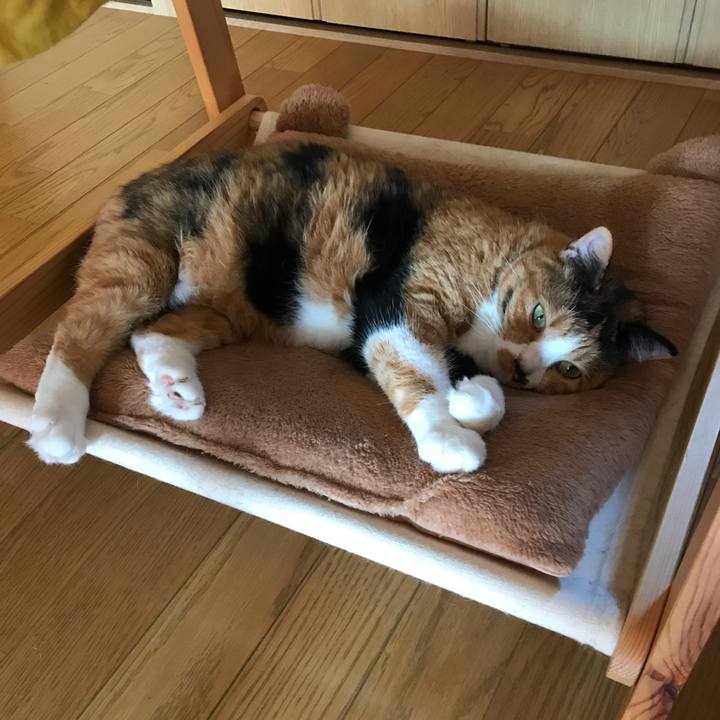 0271d4f1 1ba1 418b bed3 025413a320e5