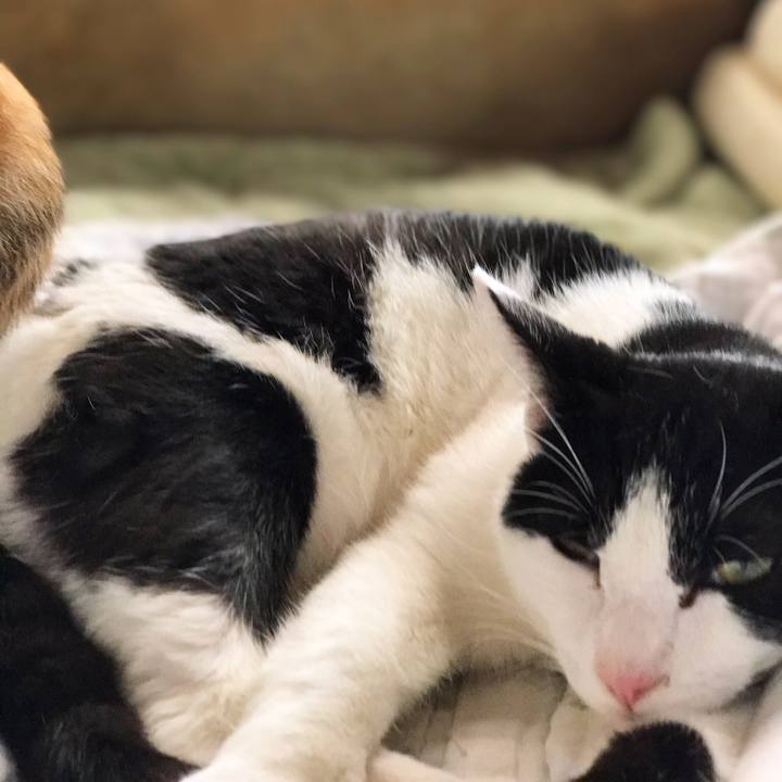 0272ac47 c55f 464d b0d3 000ca21a1f5a