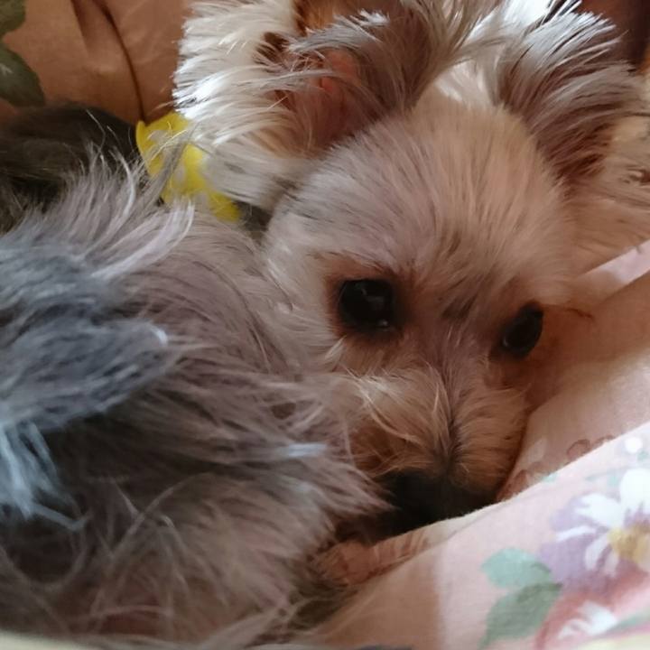 0272aec0 d141 4d43 b08a f96f35c75e0f