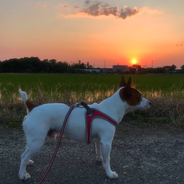 0273c059 6607 4b9d 83aa 6b02e68cb746