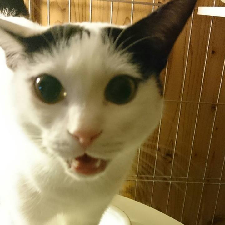 02744543 4886 43df 919d 534a769b0e16