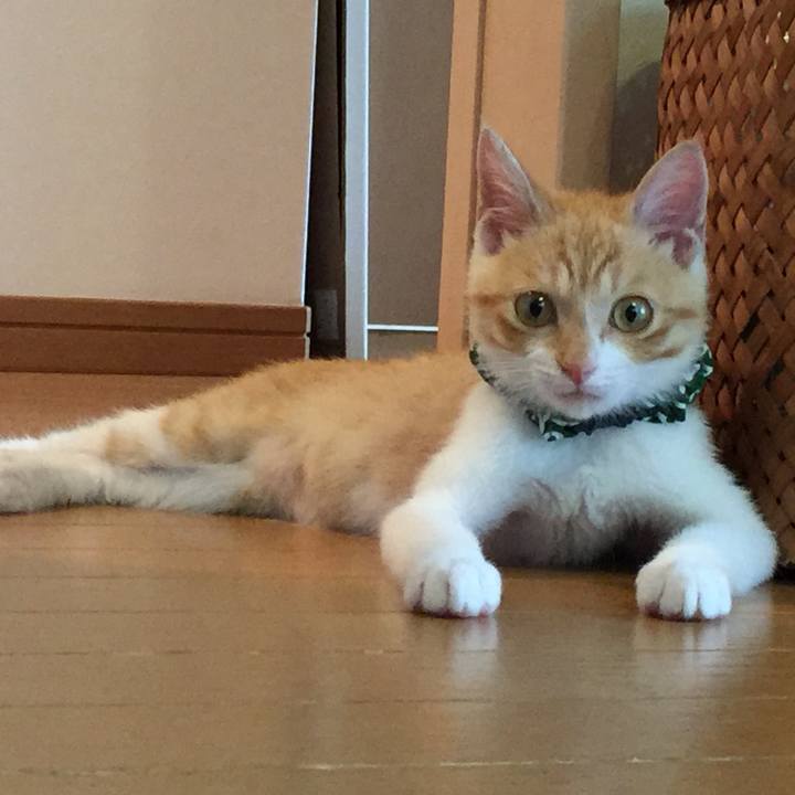 027487d9 5add 432f a290 232b0716c917