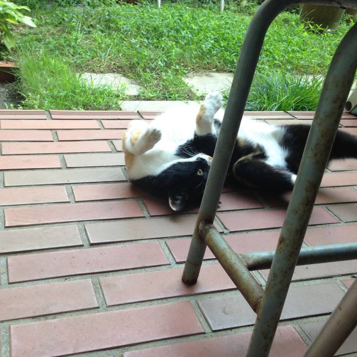 0274f741 be5e 4fff 8cba b1022b0cc784