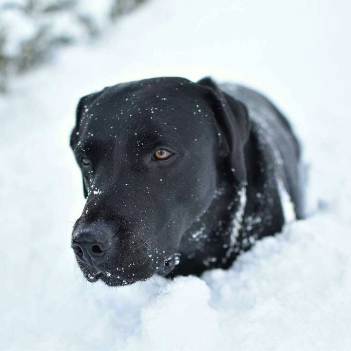 0274f93f 81c5 408c a812 36e2b27d81ba