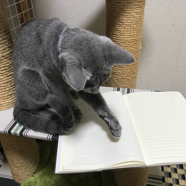 02770e13 535d 465b 891a 88734bbafbd6