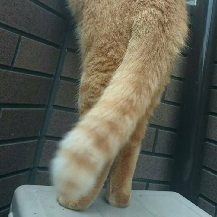 0277b65b 80a1 4447 82ea a7a16119ac9d