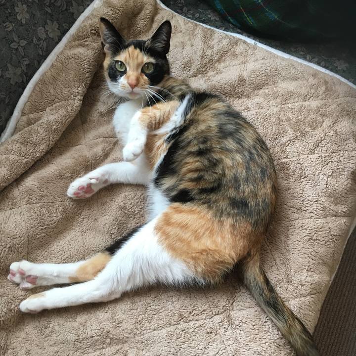 0277d608 fa99 4360 bc30 9d60c79becb6