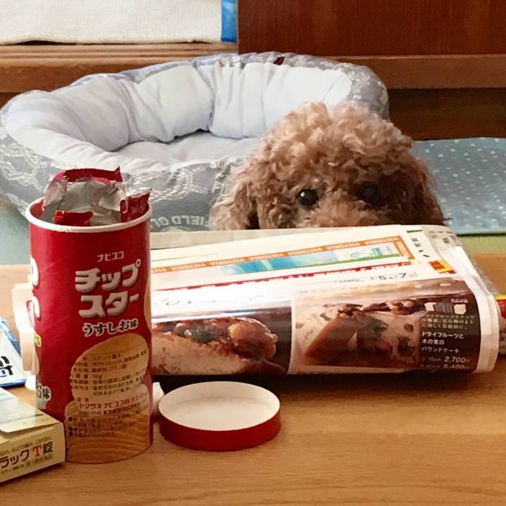 0278c281 ca78 4dba be16 a11031fe8186