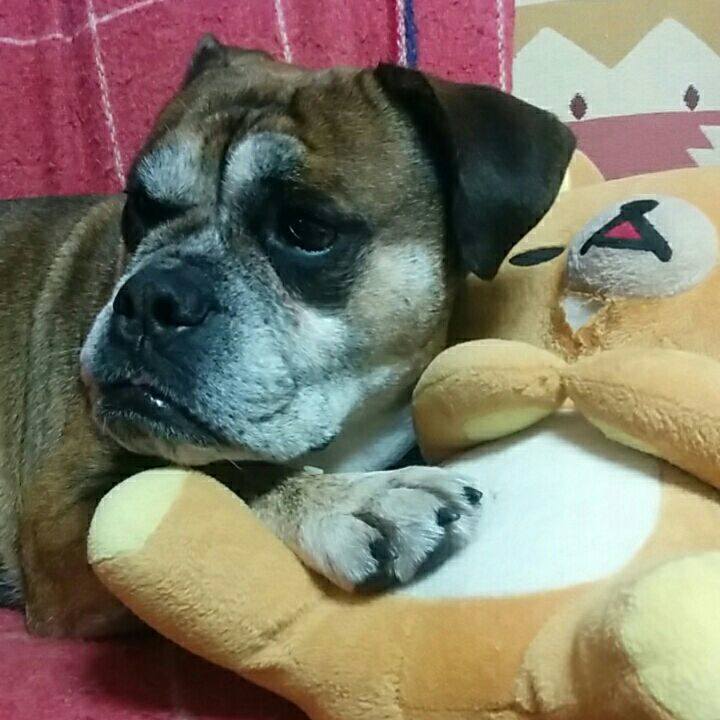 0279bd24 975e 472e bb98 4a33b9620f8d