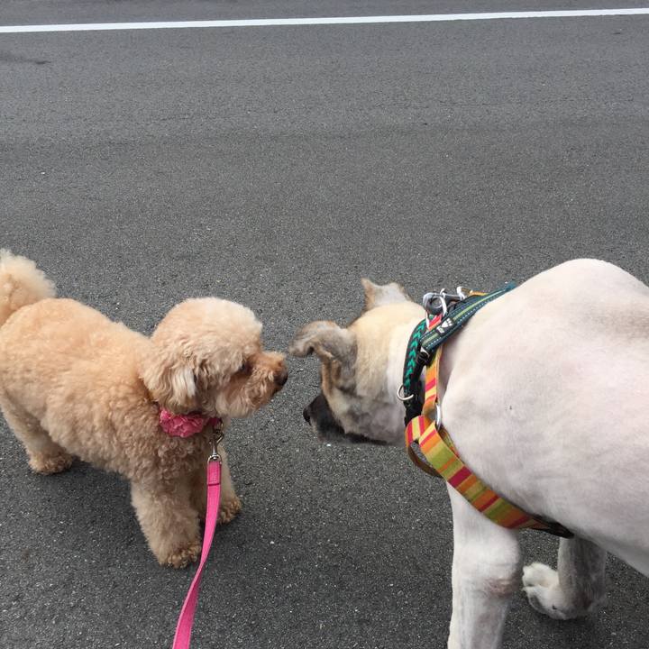 027ac980 db5e 4a7d 83d0 78c25be1ce8e