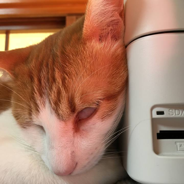 027b3b8a d679 46a6 b8af d4e73ef174fa