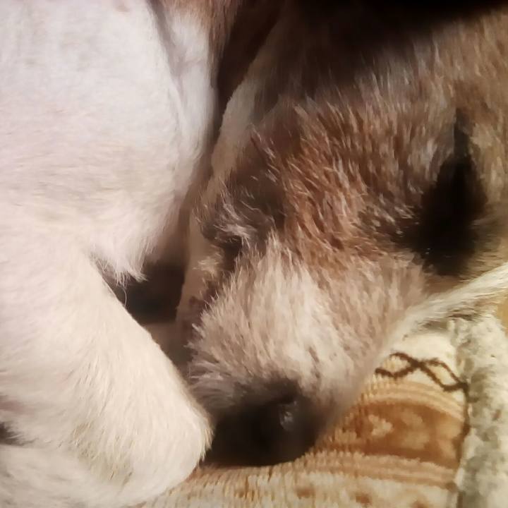 027b5f0f 9a81 4a29 b369 ab0ba06afcd6