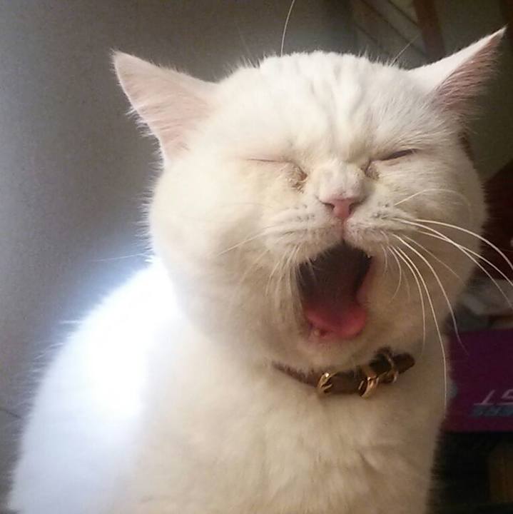 027b9e49 bacb 47ac 8733 ead3f29c1a23