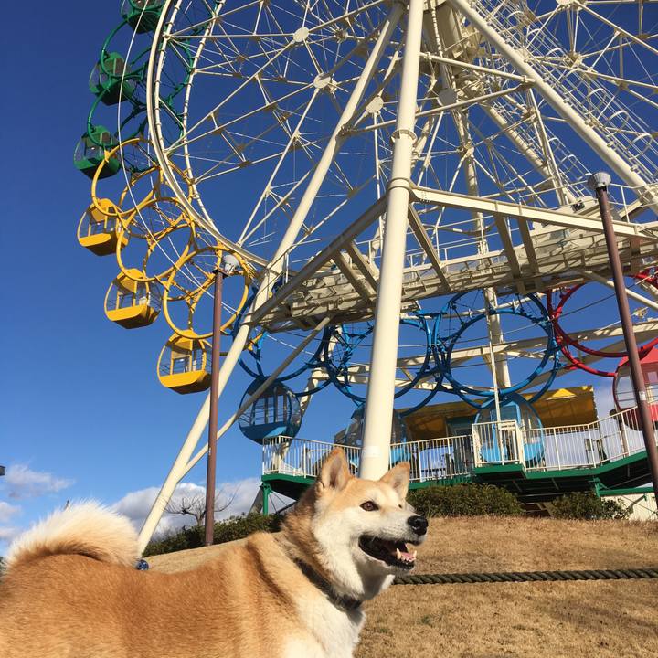 027cde9b d78c 450a 82f4 dc218605d4bd