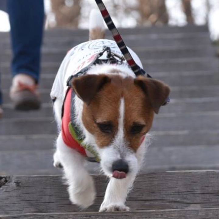 027d4b1b 8e16 4e78 8700 a2007c919abe