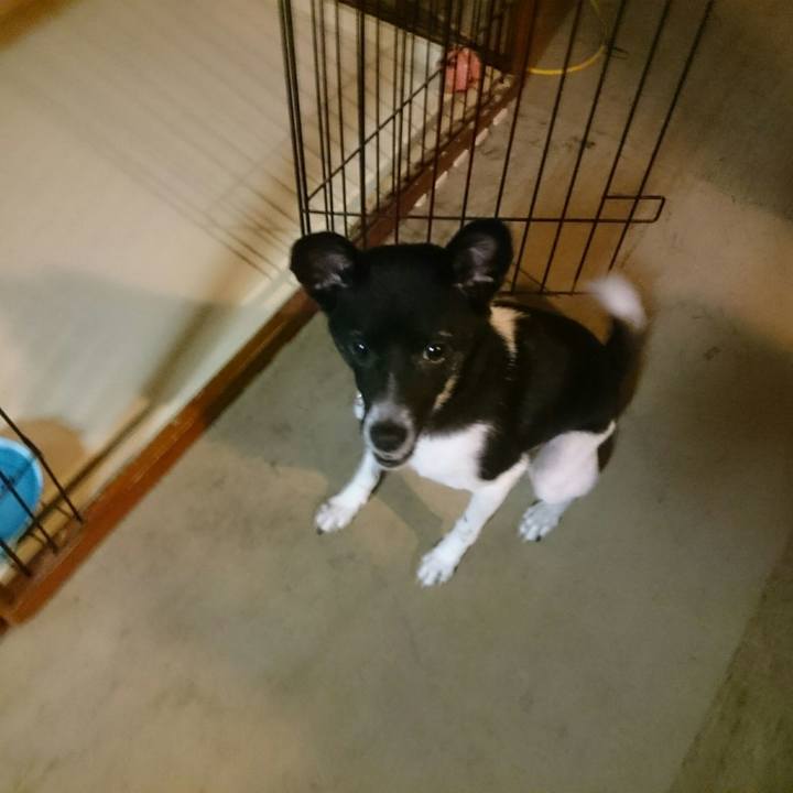 027d8125 17ed 4254 b14e 7da8d94a8044