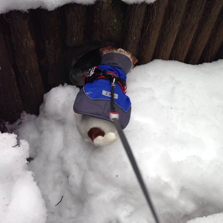 027d8172 d28d 46aa b69e e282e61f895a