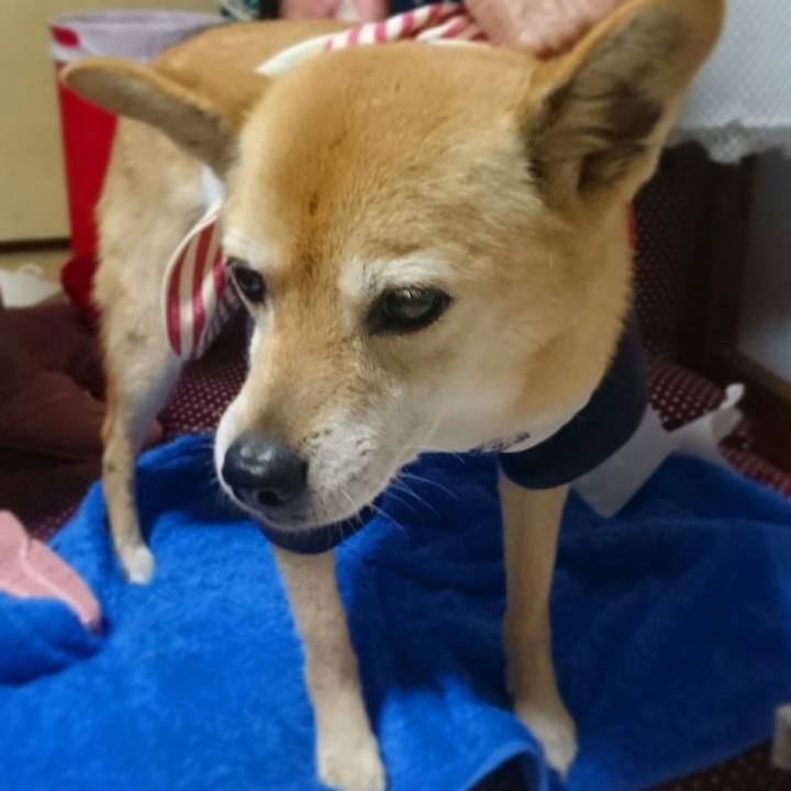 027e51ea a9ba 47f9 9c52 742685f0a66c