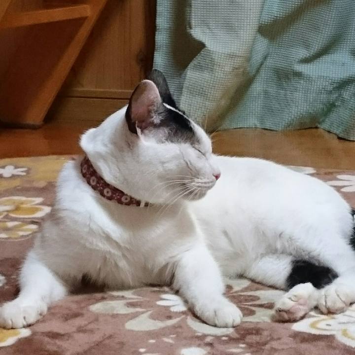 027e8ddf e052 4706 a1c4 c1c8c6b4ce89