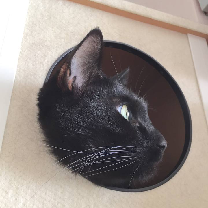 027ed573 827d 4359 bc4c 19b9313ec500