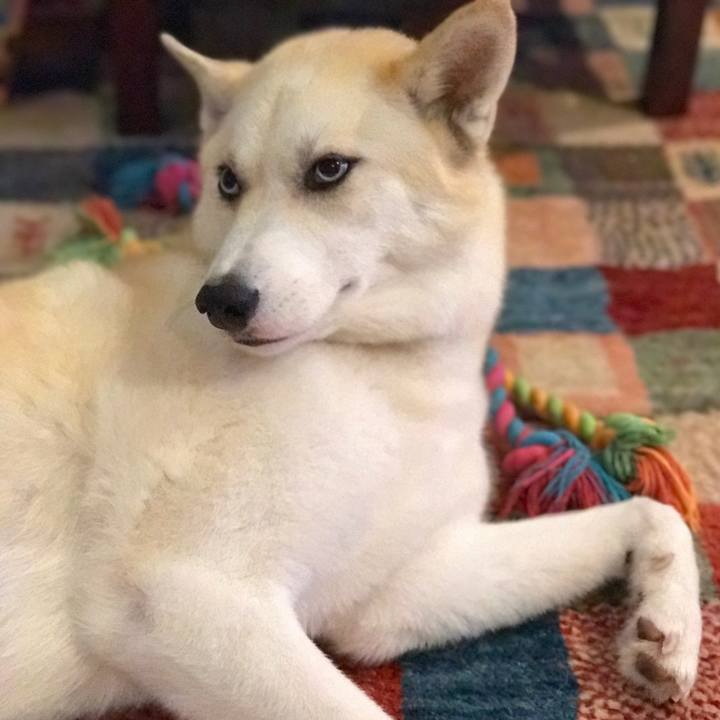 027eda05 7196 4ded 982c 336d8ebe45c8