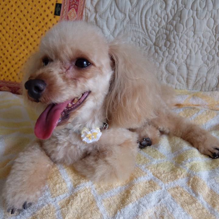 027f7c1d db6d 48b7 b6f8 7b08dfa82c7a