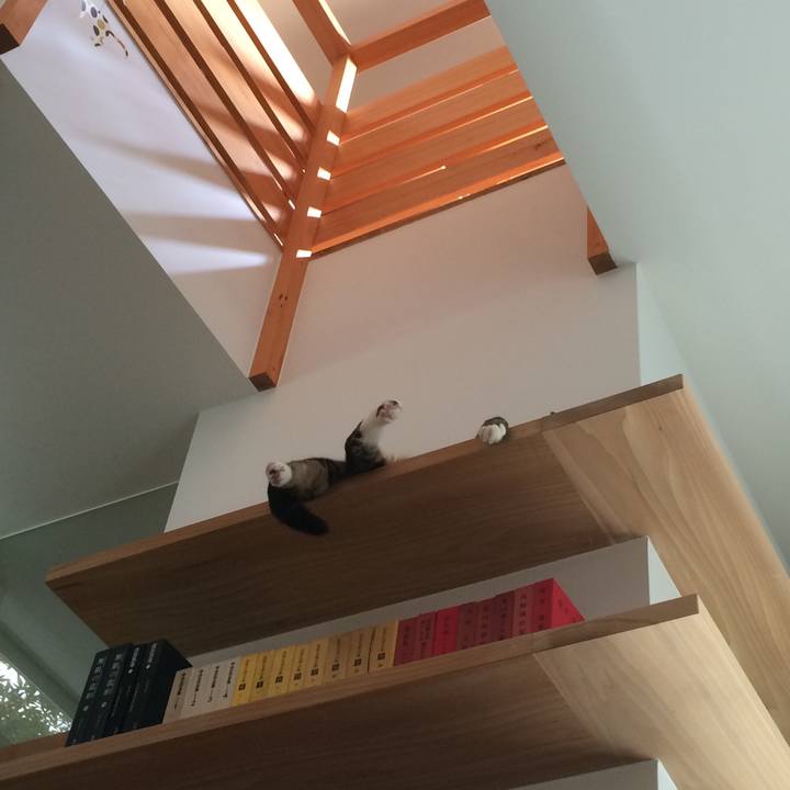 027fd590 e728 4dbf a46d dd2c065fc01f