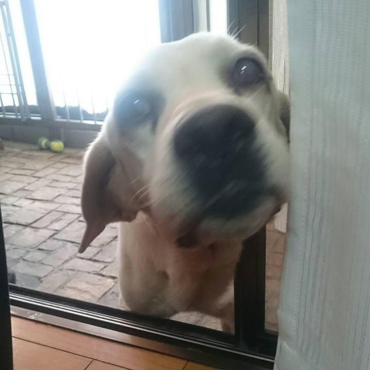 02802714 5bb2 4539 8e56 dcf2de9c6279