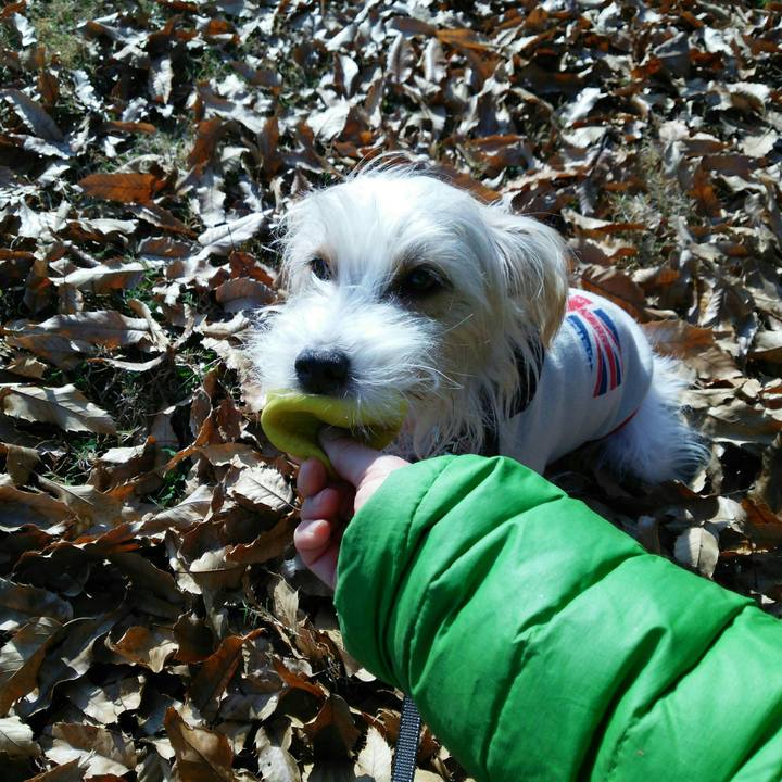 0280e8e1 55b8 4e84 97cf 2cead988583c