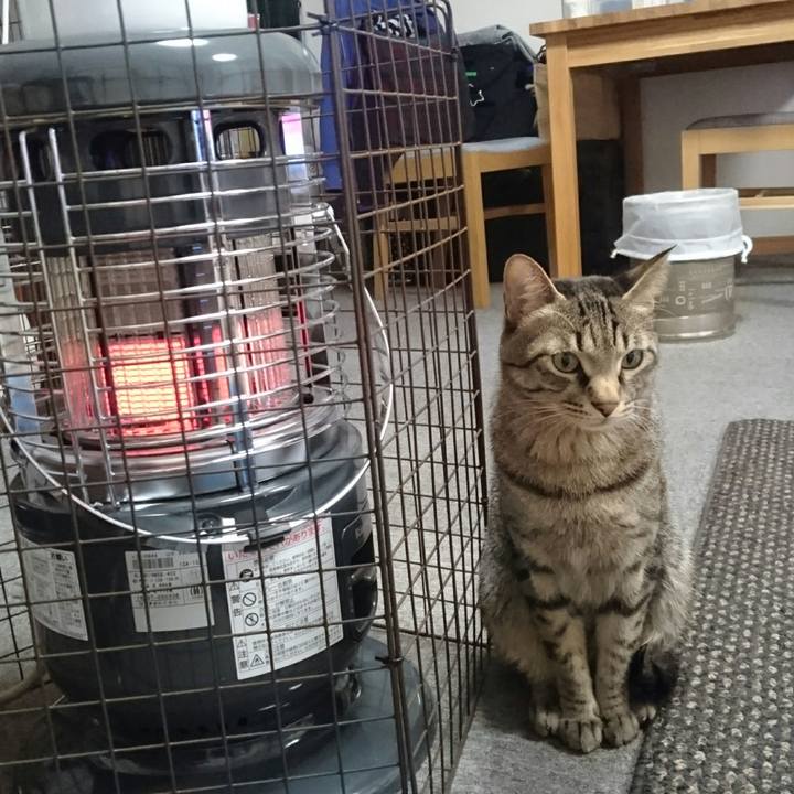 02823c83 50f9 4e7b 8c0a d3ce1615027a