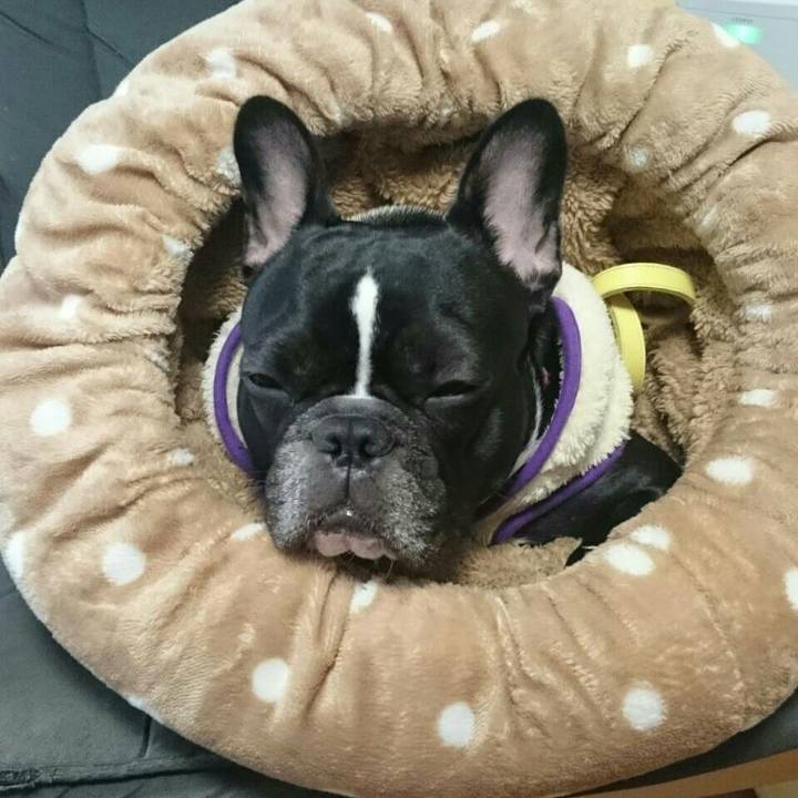 028287ec 3f47 41a9 86e9 daa0b9f364af